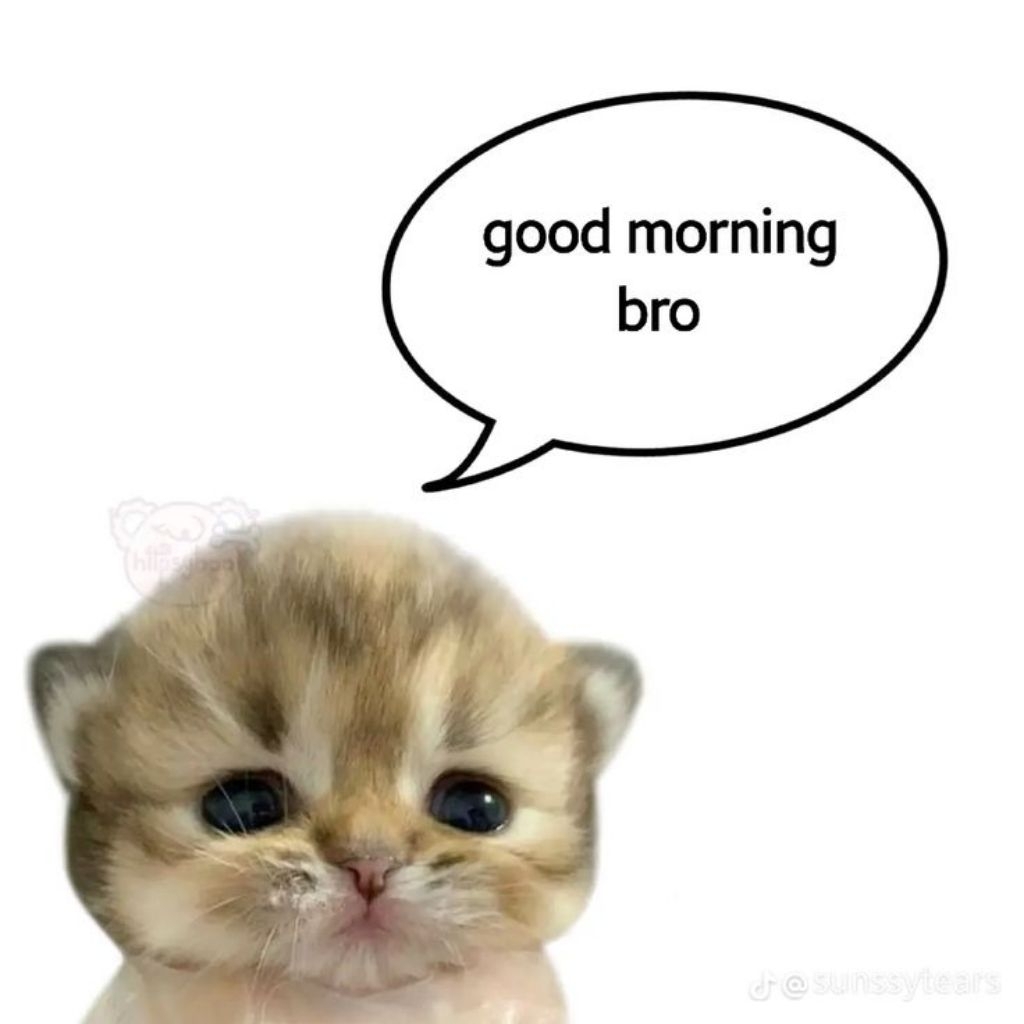 

Barang Official Limited Booked