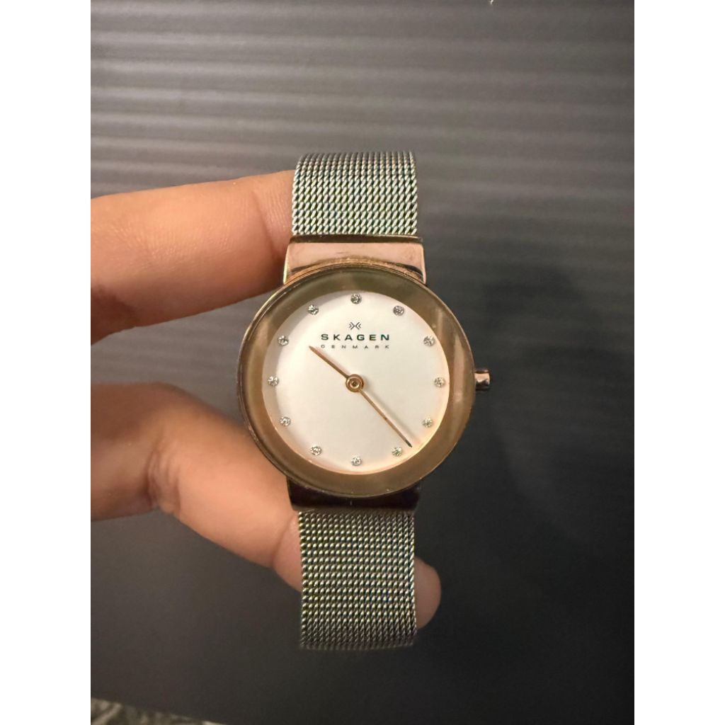 Skagen Denmark Elegant Mesh – Jam Tangan Wanita Minimalis & Mewah
