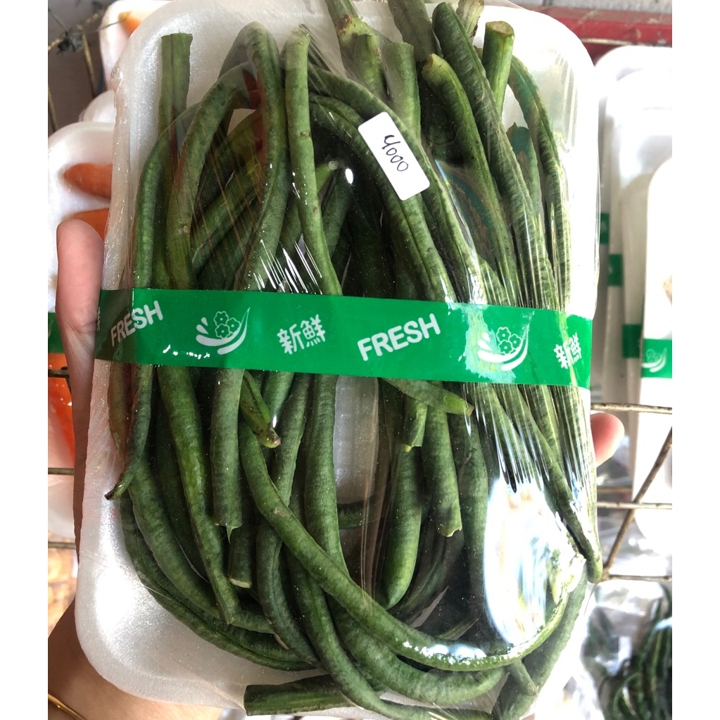 

kacang panjang