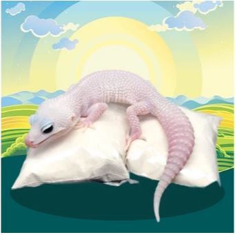 KALSIUM 1 KG - Kalsium Gecko Vitamin Gecko Penggemuk Gecko Kalsium Reptil Ular Burung Torto