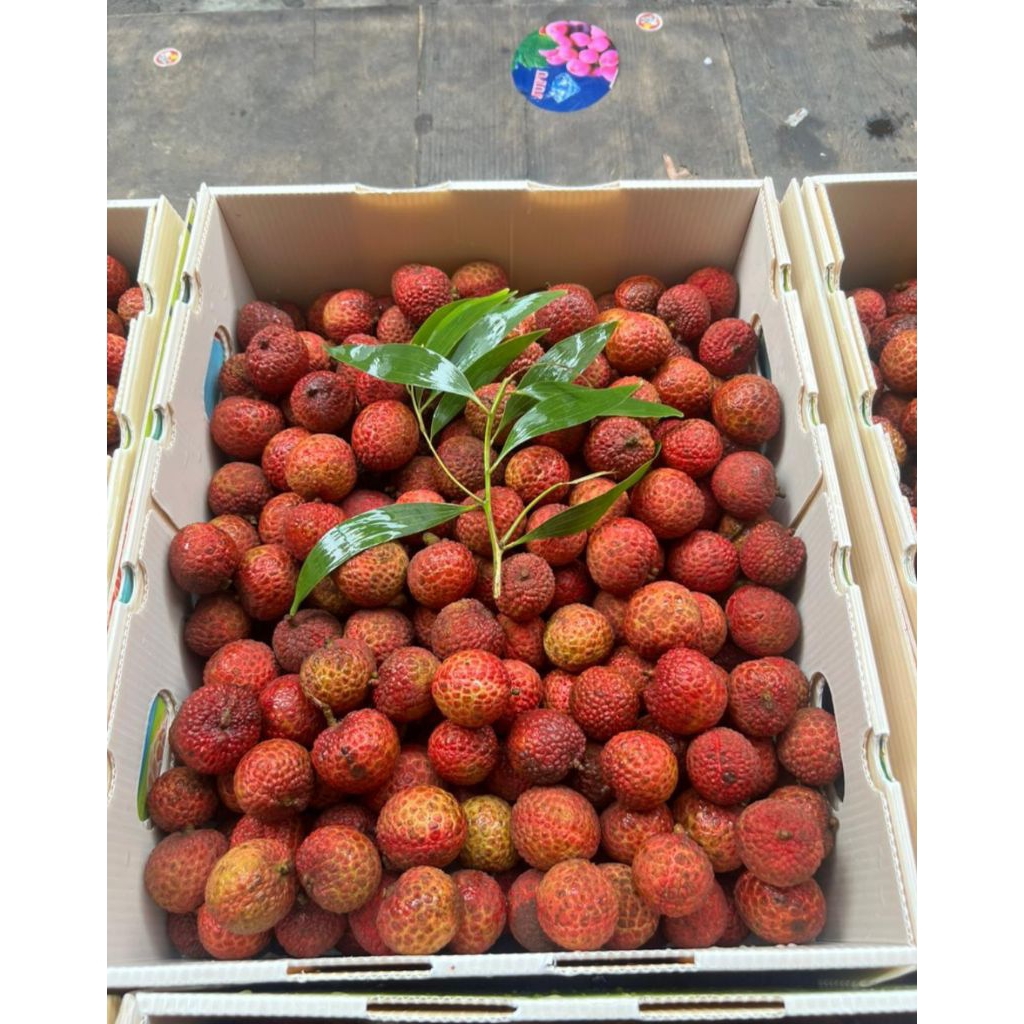 

Leci Madu 1 Krat 5kg Manis Banget Leechye