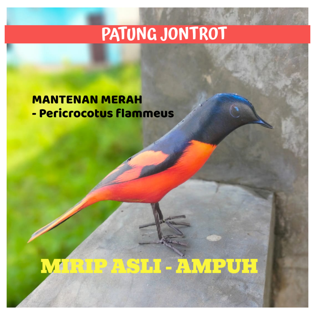 PATUNG JONTROT BURUNG MANTENAN MERAH - JONTROT BURUNG MANTENAN MERAH