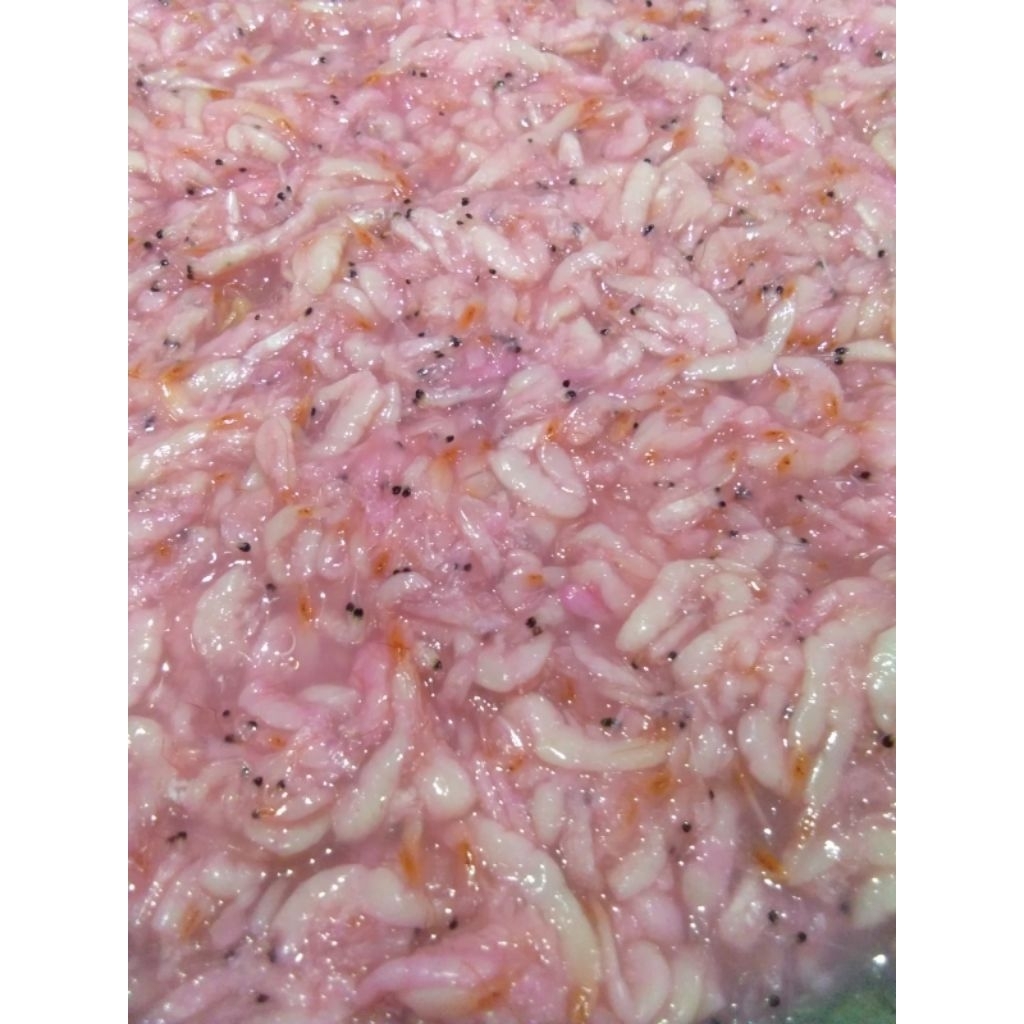 

Sehakoi/Hakoi/Hekoi/Cincalok/Seujot/Saeujeot Udang Pontianak 1kg