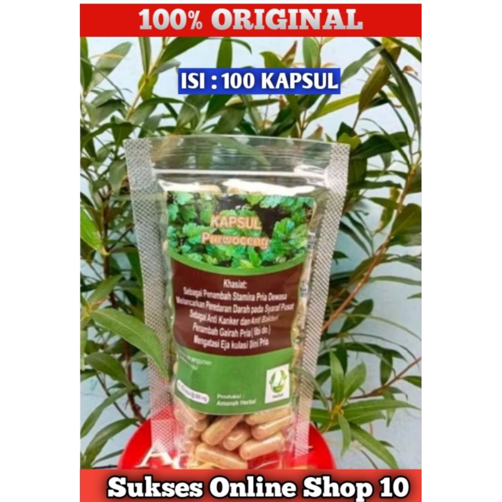 Kapsul Purwoceng isi 100 Kapsul Asli Original