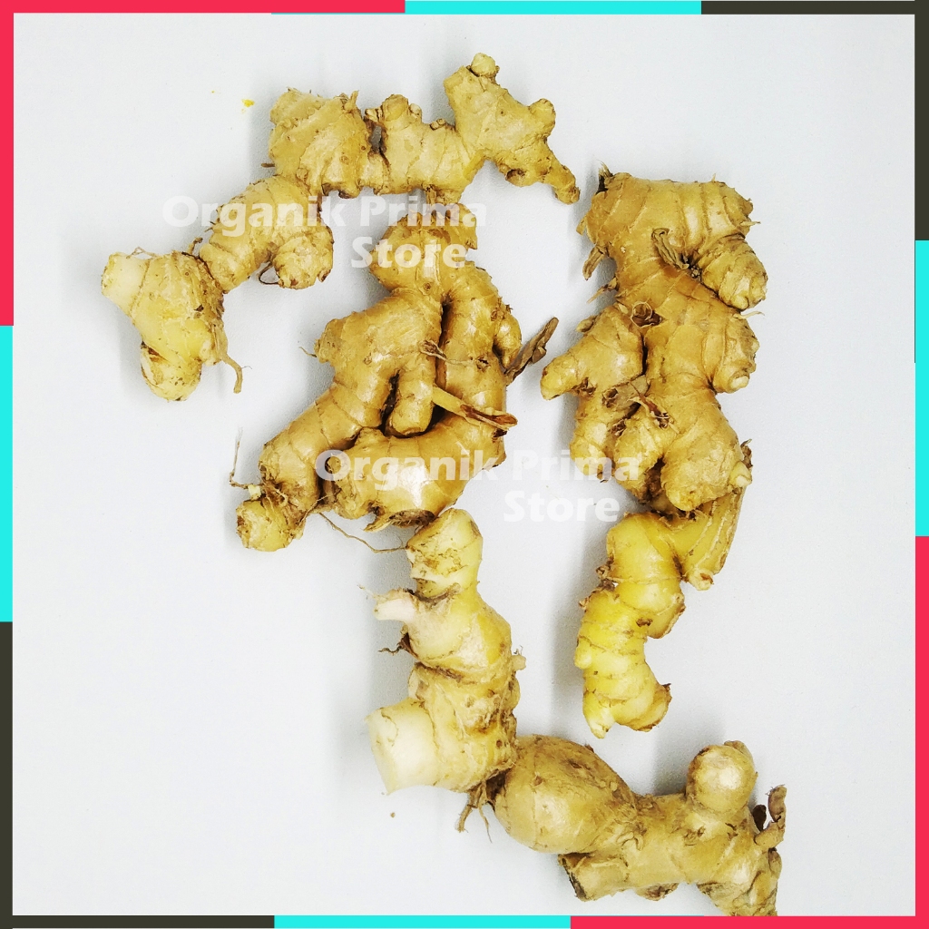 

Lempuyang Emprit Segar 250gr Wangi Asli dan Organik
