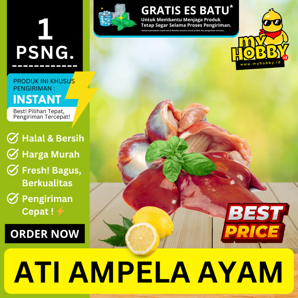 

Ati Ampela Ayam 1 Pasang (sudah dibersihkan)! Halal Bagus Segar Murah Berkualitas. Hati Ampla Fresh!