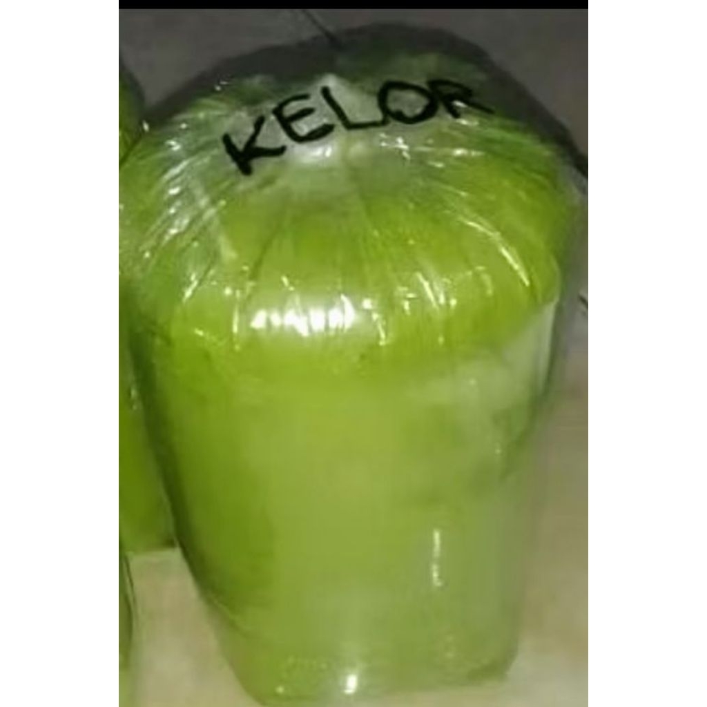 

Bubuk Tepung Kelor Super Halus dan Hijau Originall