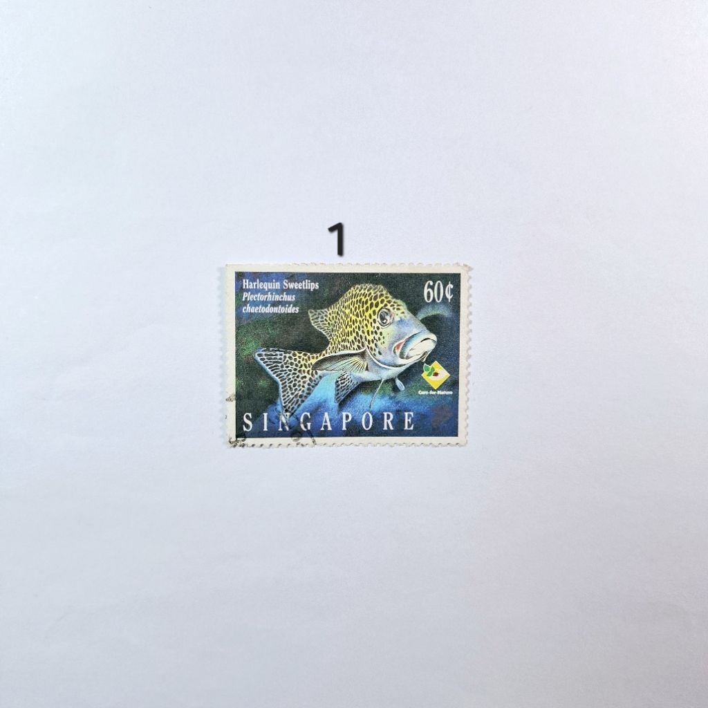 

Prangko Lawas Singapore Prangko Singapura Prangko Mancanegara Prangko Luar Negeri Prangko Lama Prangko Vintage Prangko Aesthetic