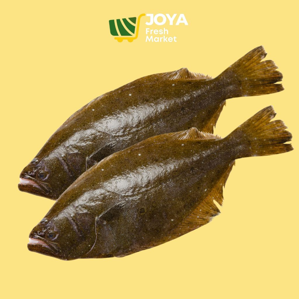 

Joya Fresh - Ikan Sebelah Segar/Seafood Segar/Ikan Sebelah Fresh