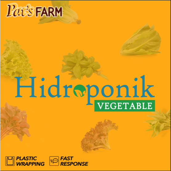 

HIDROPONIK / Sayuran Segar