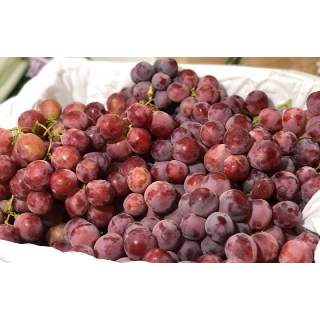 

Buah Angggur Segar 500gr