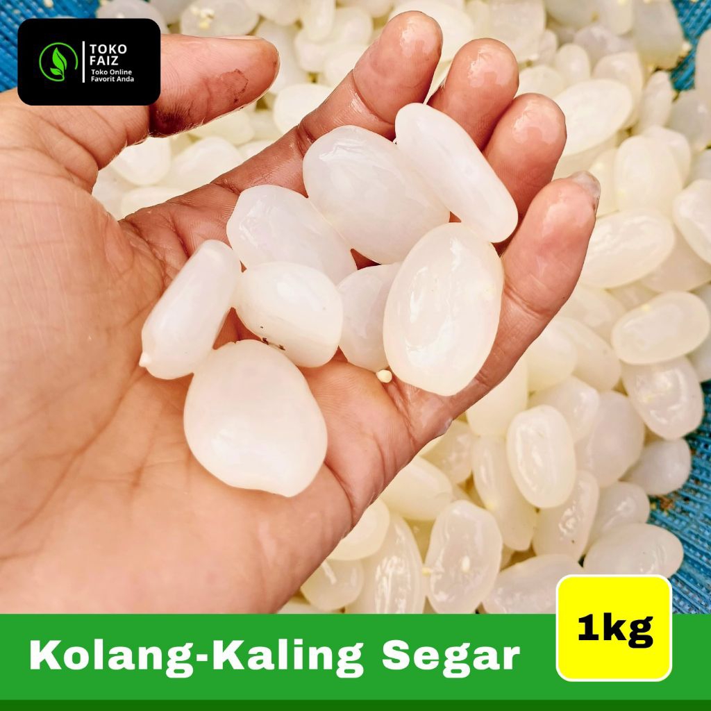 

Kolang Kaling 1kg fresh
