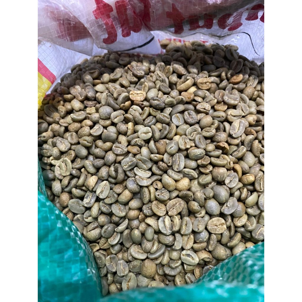 

Forcysn Green Bean Arabika Semeru 1Kg Temporal Coffee Company