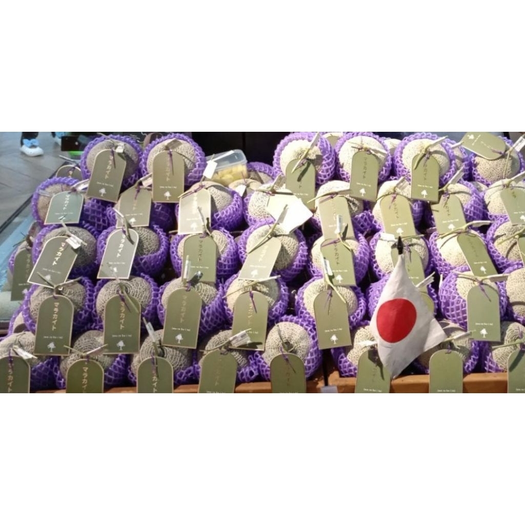 

melon Jepang marakaito 1 buah GARANSI MANIS / melon marakaito 1 buah Premium