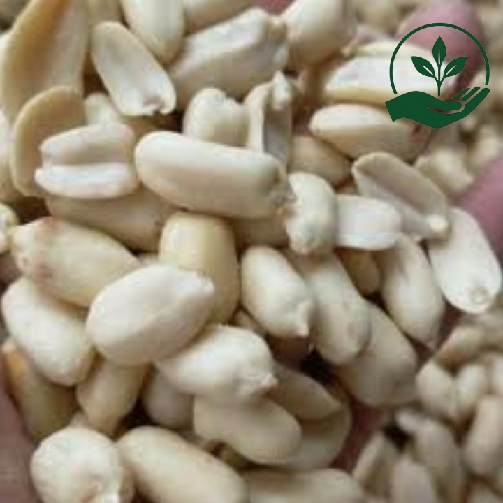 

Kacang Kupas Kacang Asin Kacang Bawang Mentah