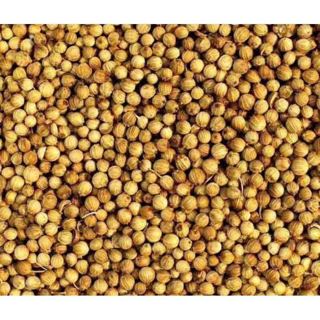 

ketumbar biji. bumbu masak