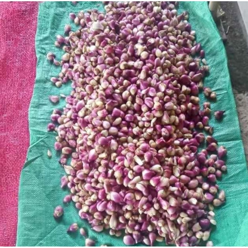 

(1kg) Bawang merah kupas / bamer kupas