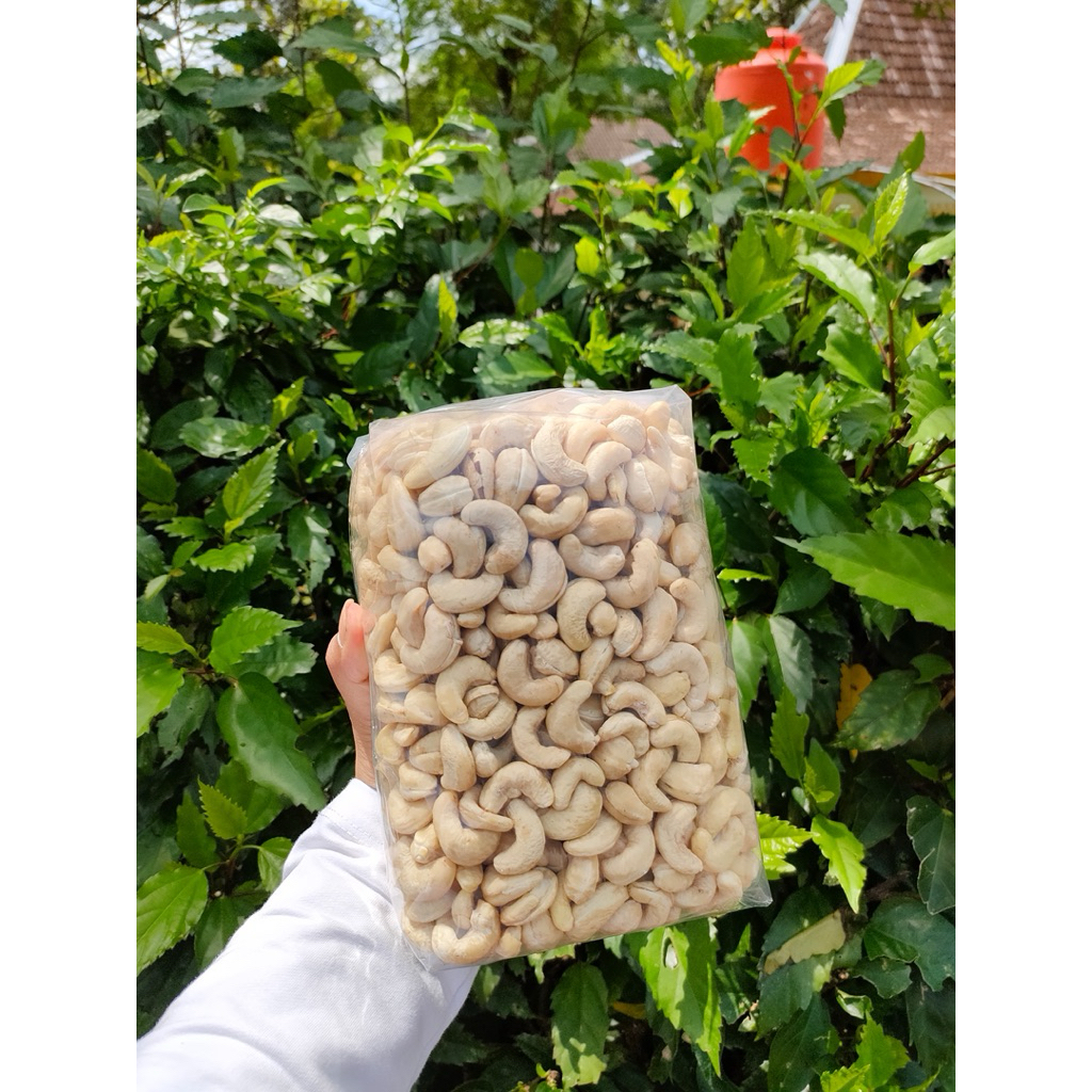 

KACANG METE MENTAH FRES ASLI WONOGIRI MENTAH SIAP OLAH