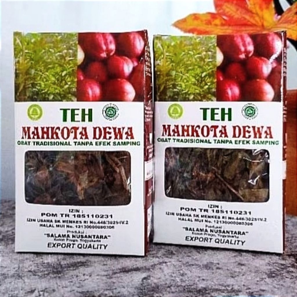 

Teh Mahkota Dewa Salama Nusantara - Teh Herbal bantu obati kanker stroke Diabetes kolesterol asam urat hipertensi sesak nafas