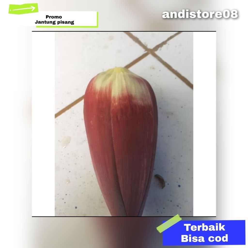 

jantung pisang super 1 pcs