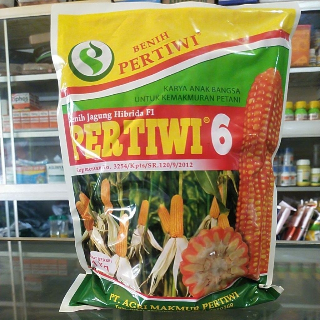 BENIH JAGUNG PERTIWI 6