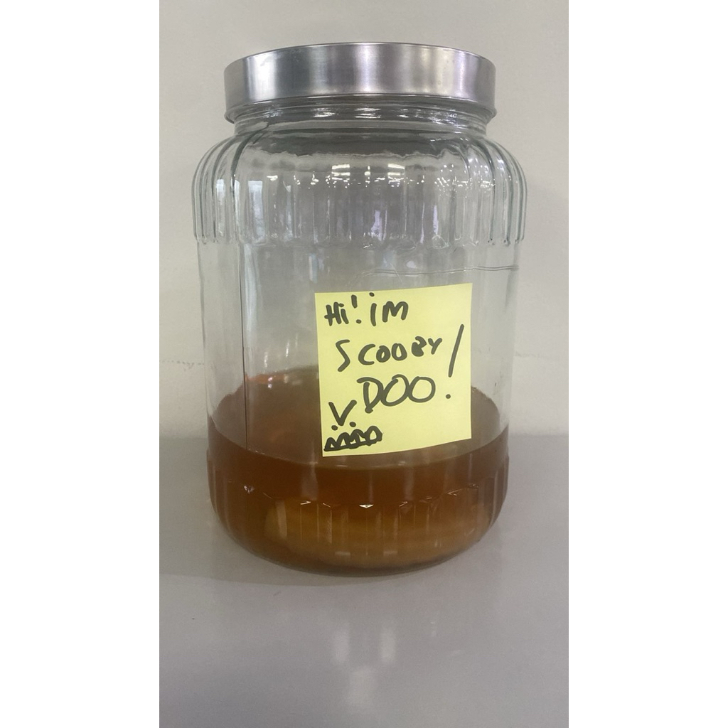 

SKOBI untuk KOMBUCHA