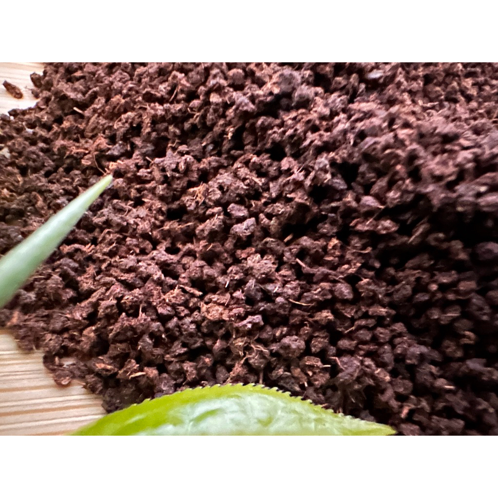 

HargaGrosirBp1MelchiPremiumTea10Kg