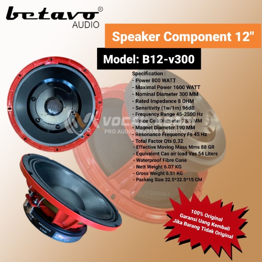 SPEAKER COMPONENT BETAVO B12-V300