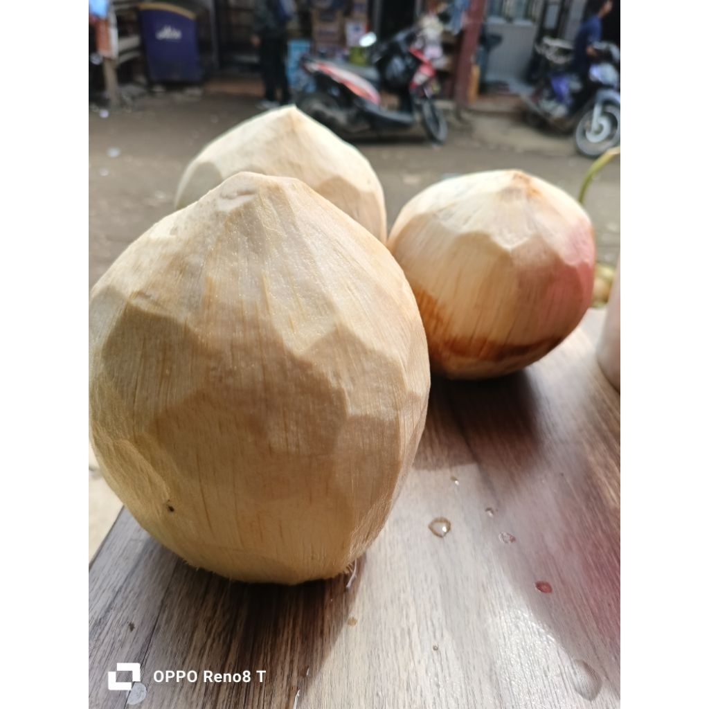

kelapa muda
