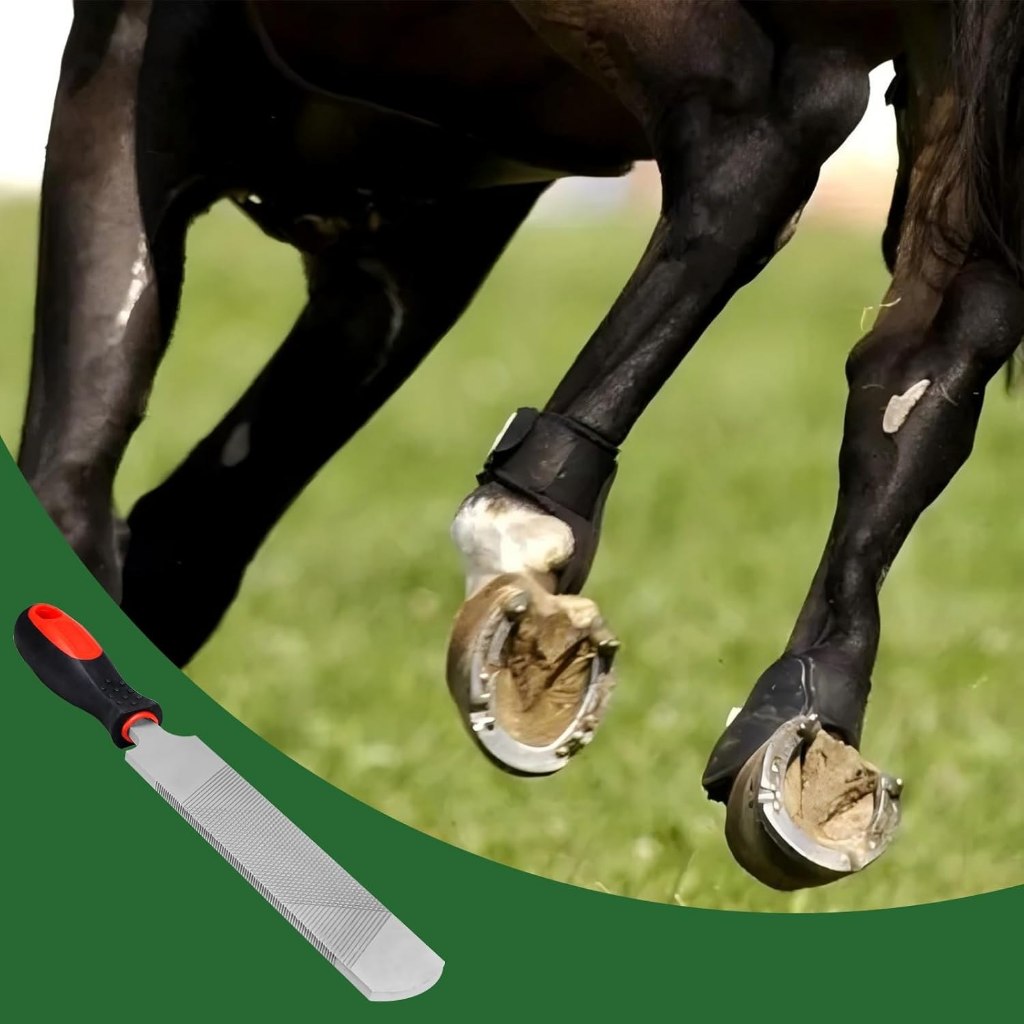 Alat Kikir Farrier File Kuku Kuda Horse Hoof Raps Tools 14 Inch