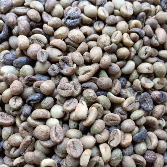 

[GREEANBEAN] BIJI KOPI ROBUSTA ASALAN 1 KG SIAP SANGRAI | BIJI KOPI ROBUSTA MENTAH