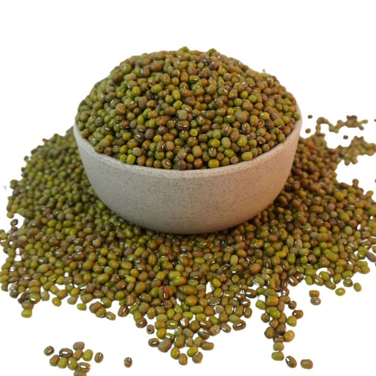 

Kacang Hijau Mentah – Bahan Pokok Sehat, Serbaguna, dan Bergizi