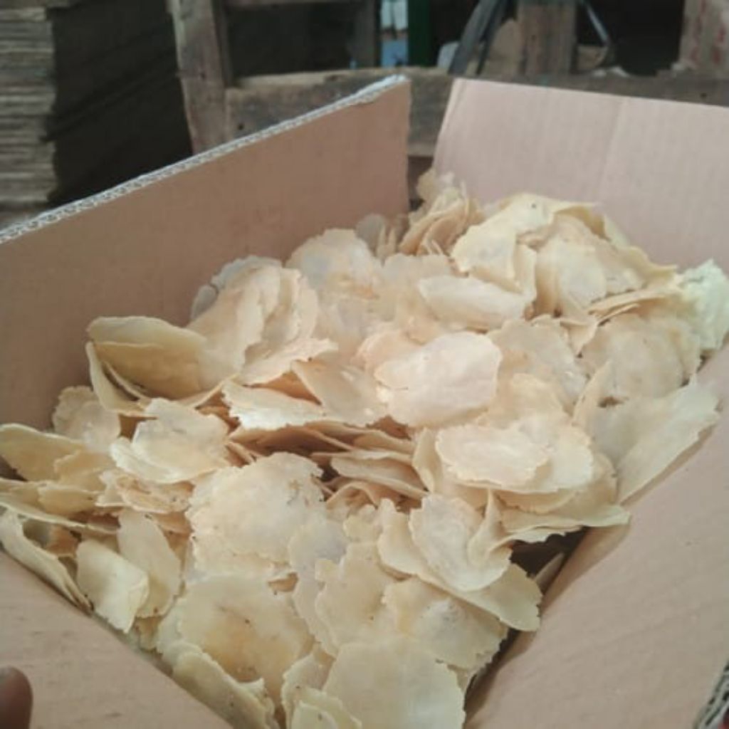 

Emping Melinjo Mentah 1 Kg biji 3