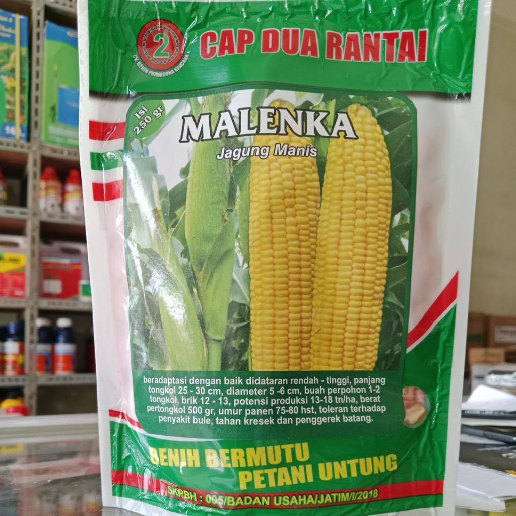 

Benih Jagung MALENKA 2Tongkol , Kemasan Pabrik 250Gr (ORIGINAL 100%)