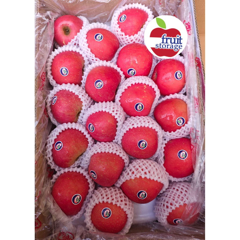 

Apel Fuji Wangshan / Widerways / Alfa Premium Import Wang shan San Wider Ways Rosy