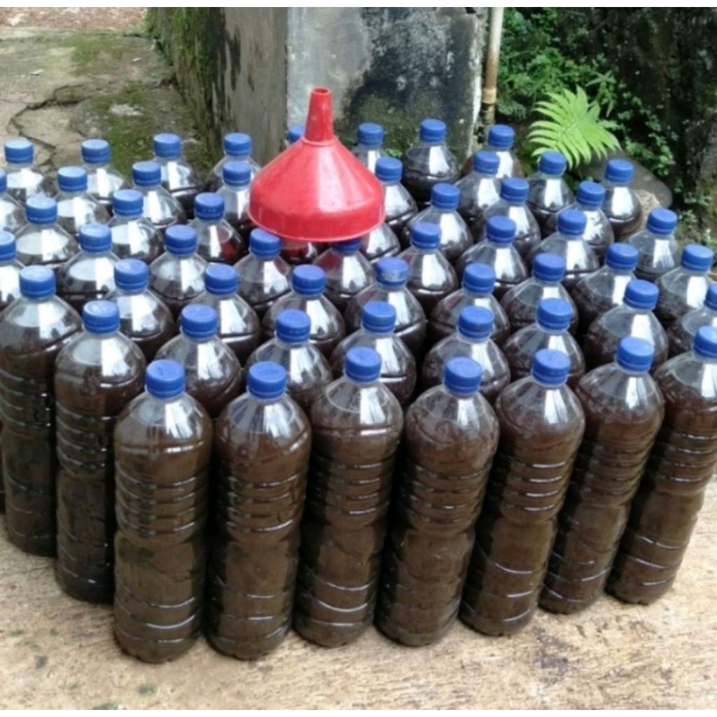 Pupuk Organik Urine Kelinci Murni