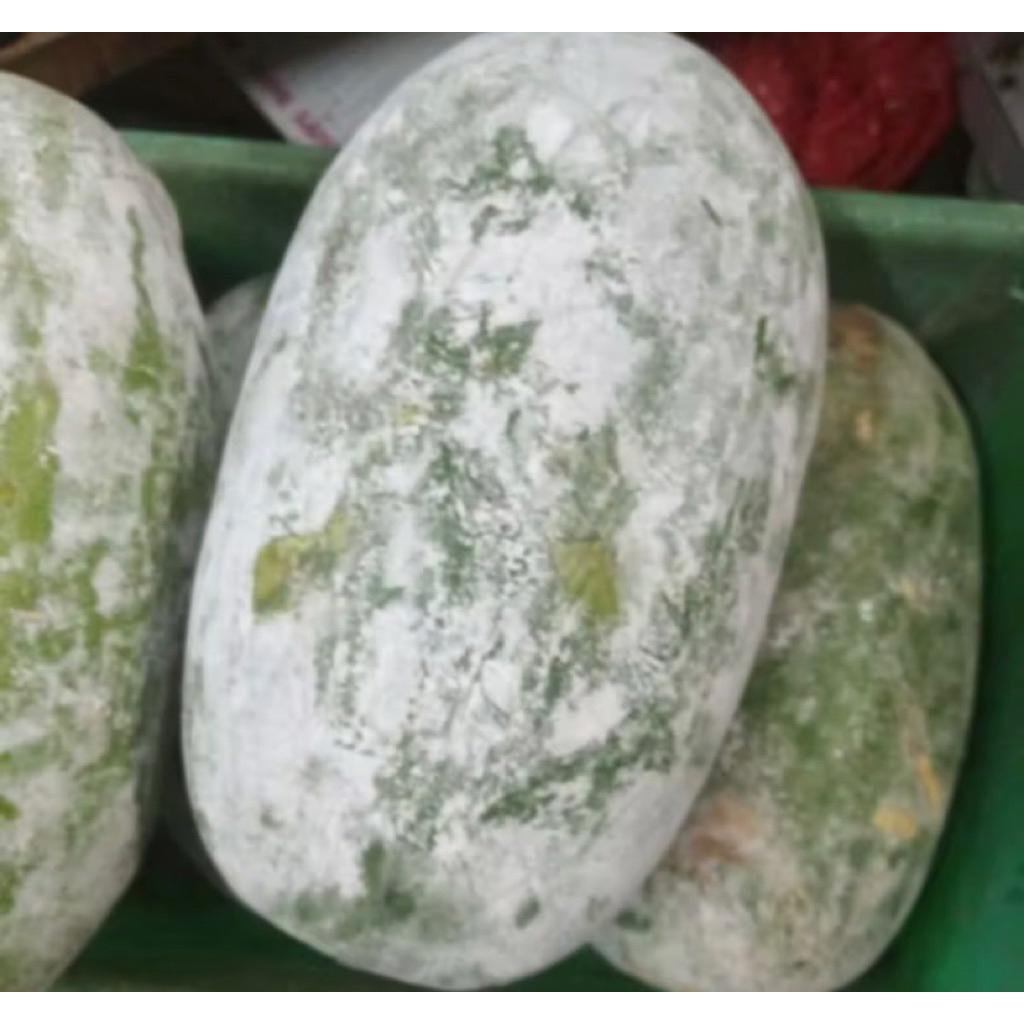 

PASAR SEGAR - LABU KUNDUR / BUAH BLIGO UTUH 1 BUAH 1kg - 1,5kg