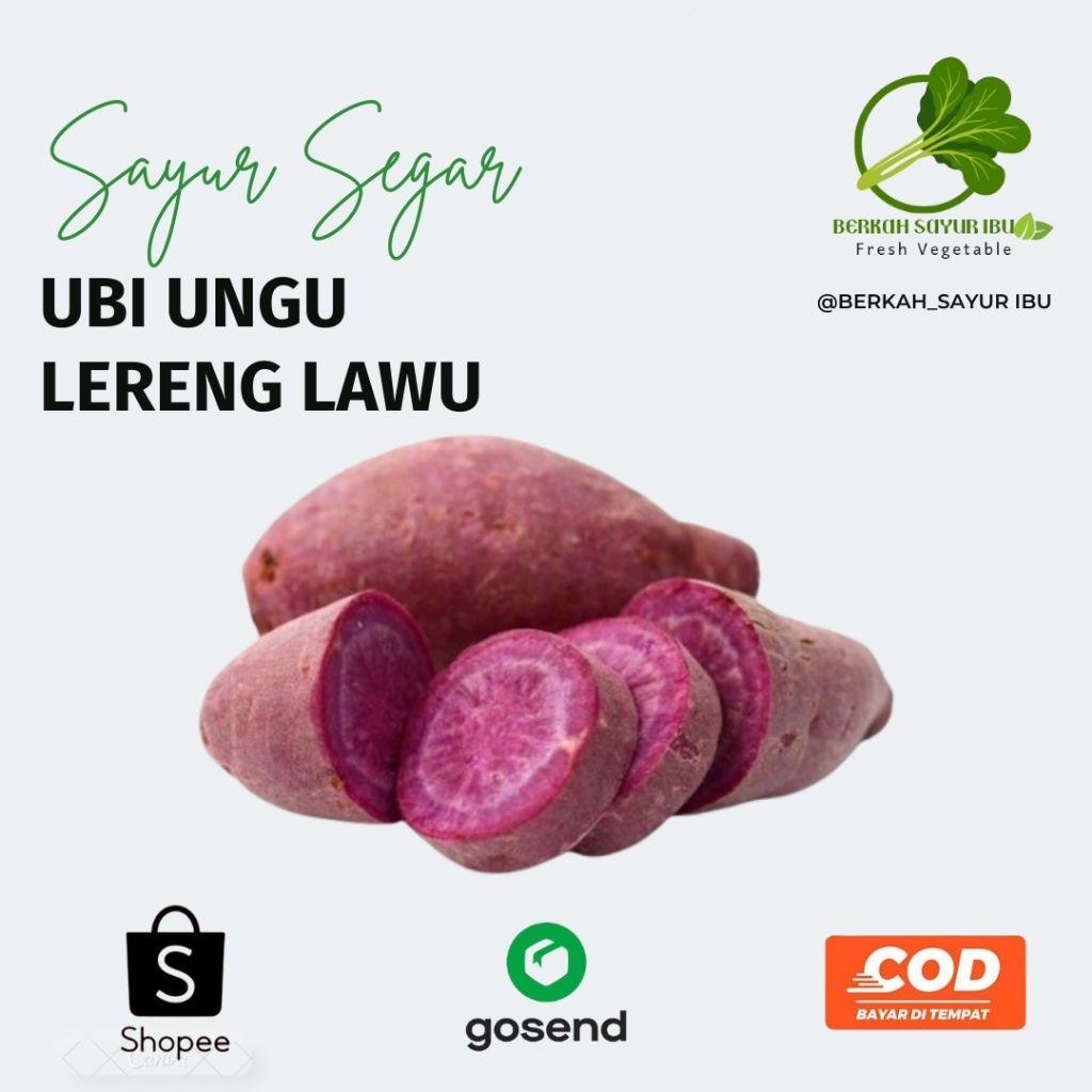 

BERKAH_SAYURIBU- Ubi Ungu Lereng Lawu 1kg