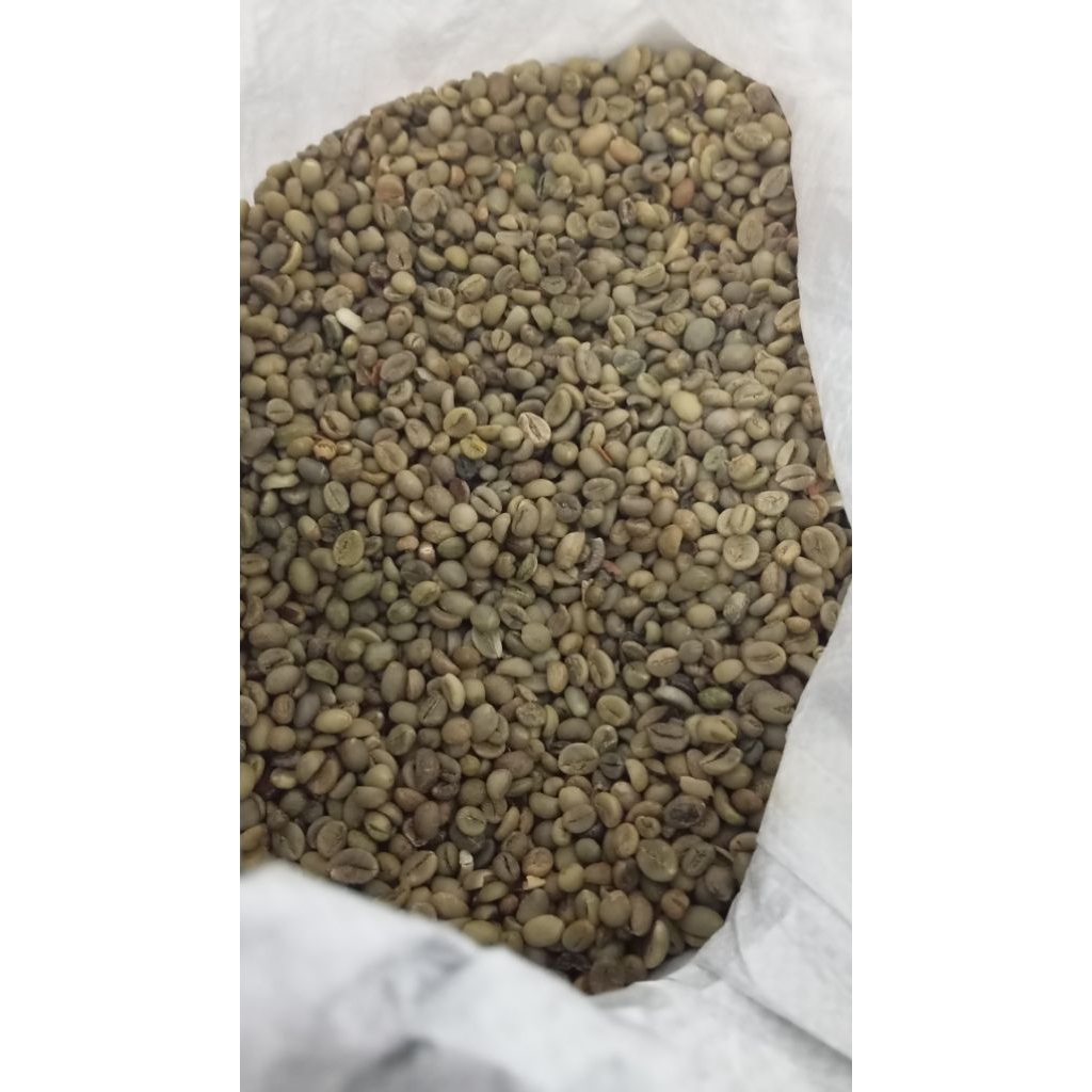 

Green bean Robusta Dampit proses natural 500gr