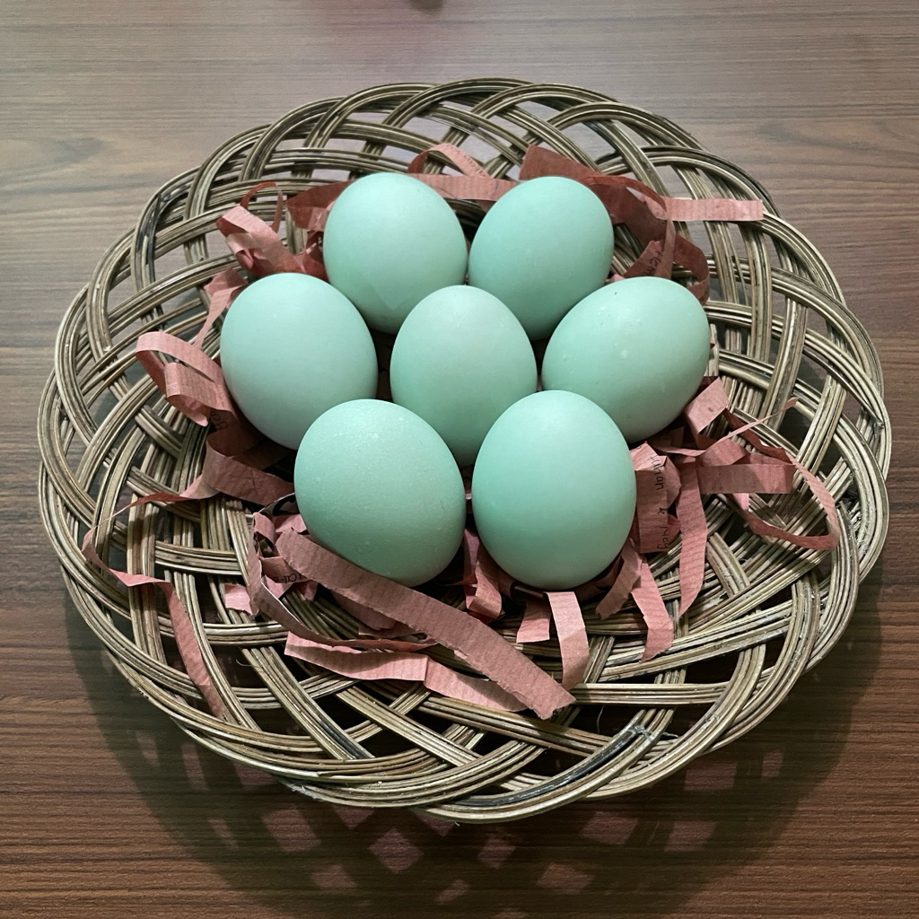 

Kampoong.farm - Telur Asin Premium Khas Brebes | 10 pcs