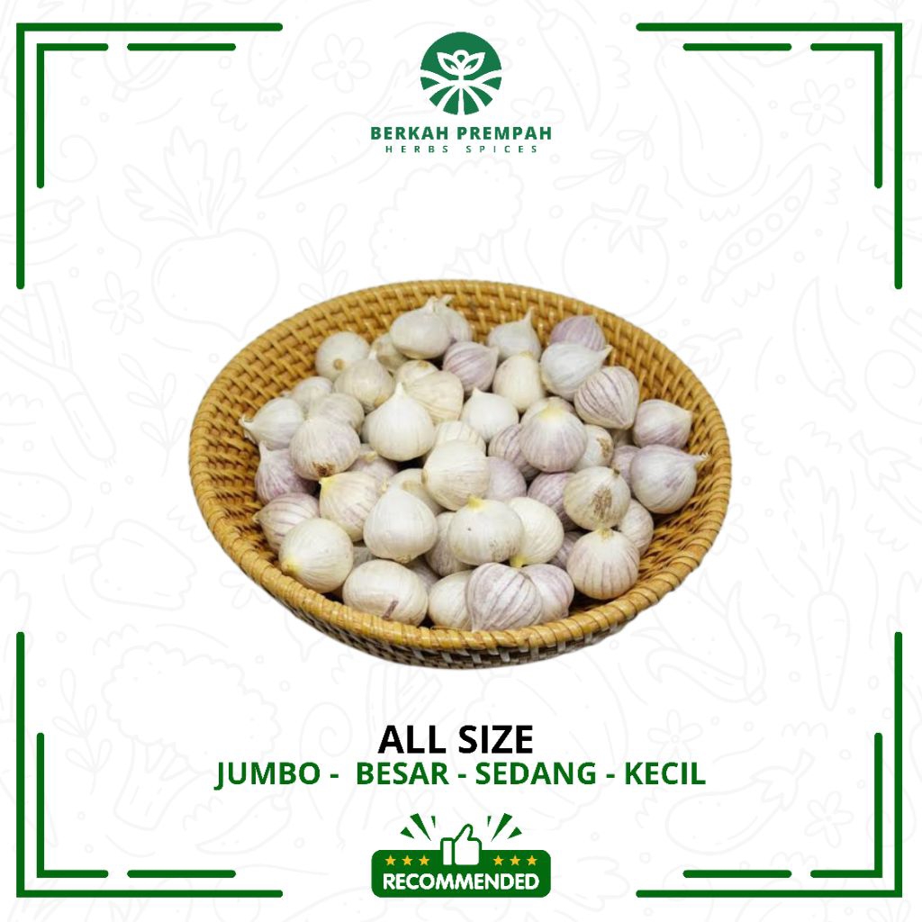

Bawang putih tunggal super - 100gr | Bawang tunggal | Bawang putih lanang super Herbal Alami - Berkahprempah