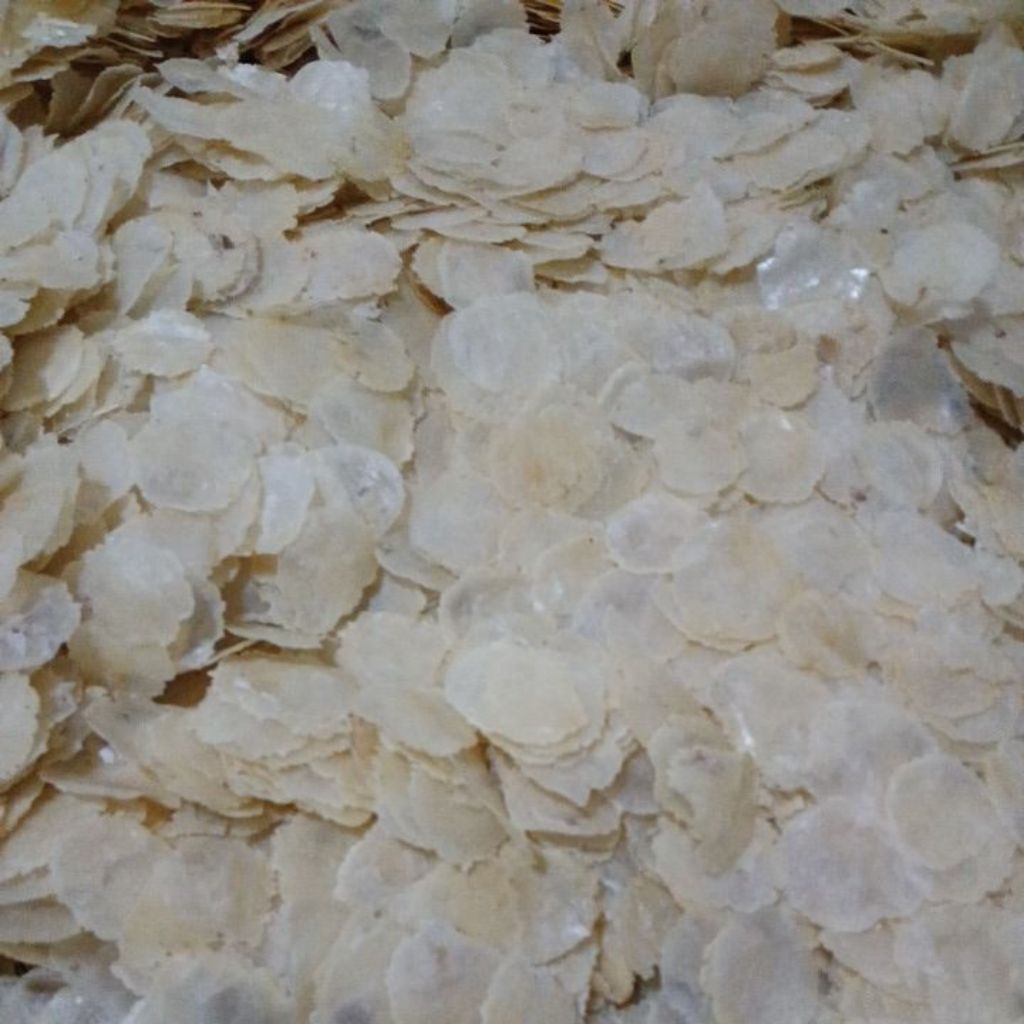 

EMPING MLINJO MENTAH 1KG .1-2BIJI