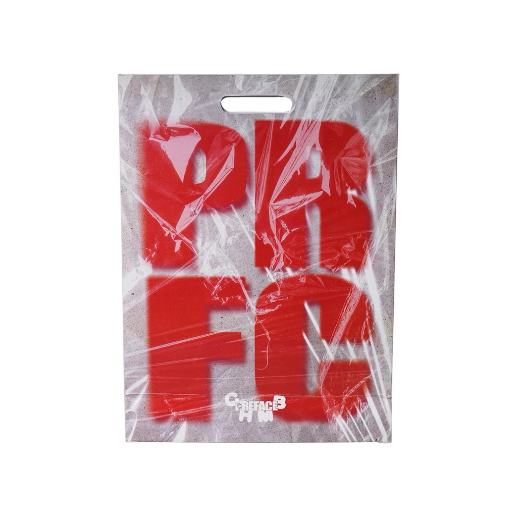 

PAPERBAG CHAMBRE X PREFACE ORIGINAL