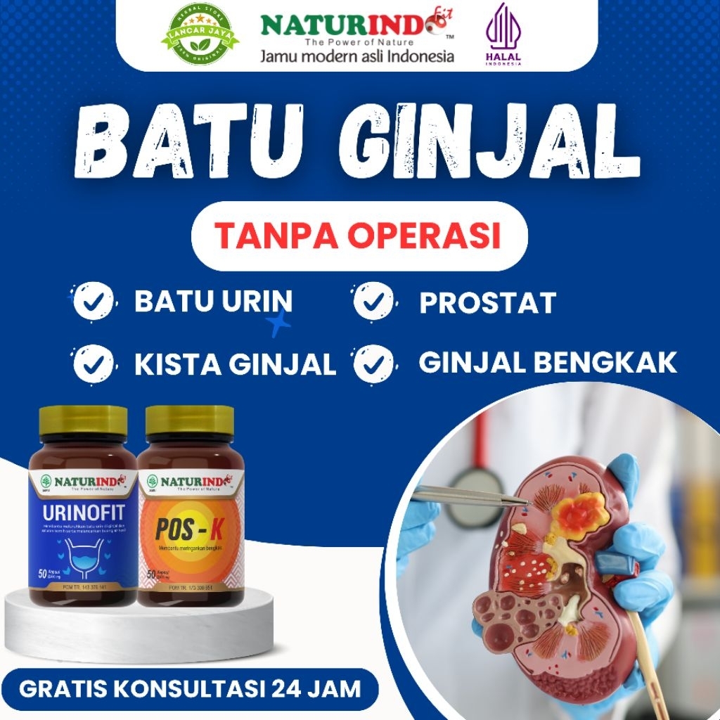 Obat Peluruh Batu Ginjal Urin Prostat Herbal Urinofit Naturindo Ampuh
