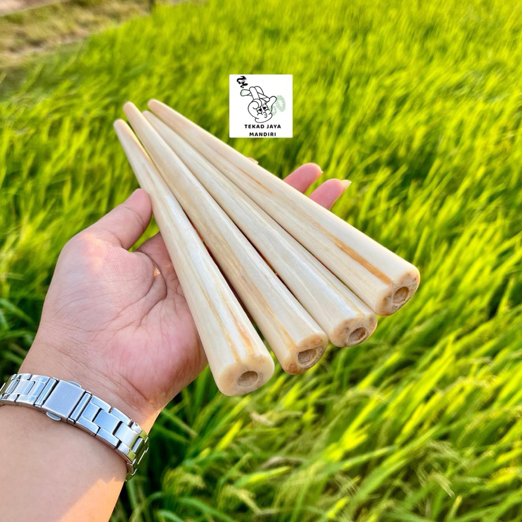 Once pipa tulang moncong ikan marlin asli rasa gurih nikmat setara di bawah gading panjang 15 20 25c