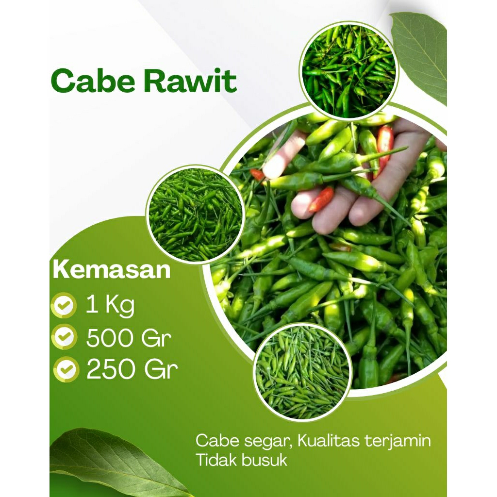 

CABE RAWIT HIJAU, PEDAS, BERSIH TIDAK BUSUK