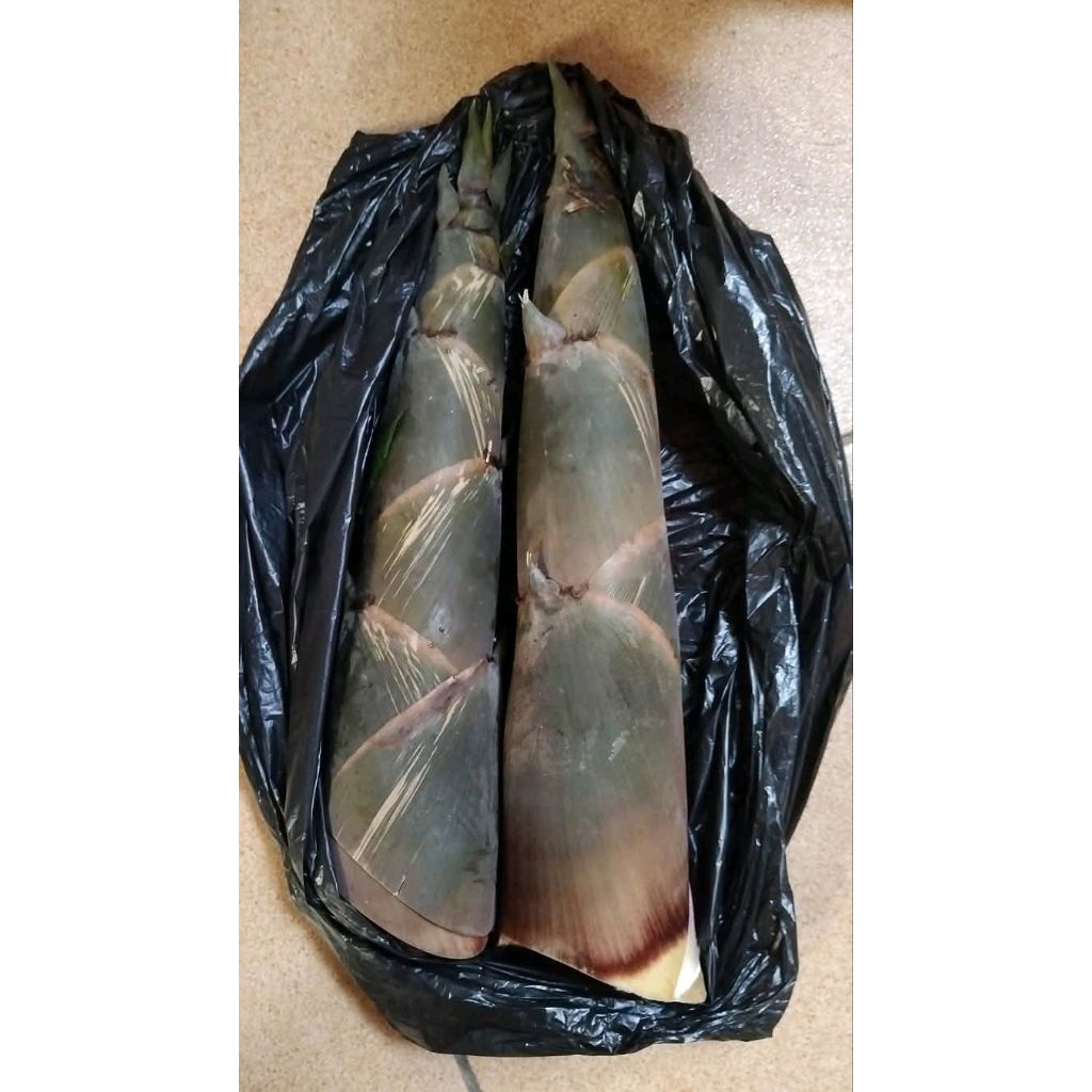 

Rebung bambu 1kg