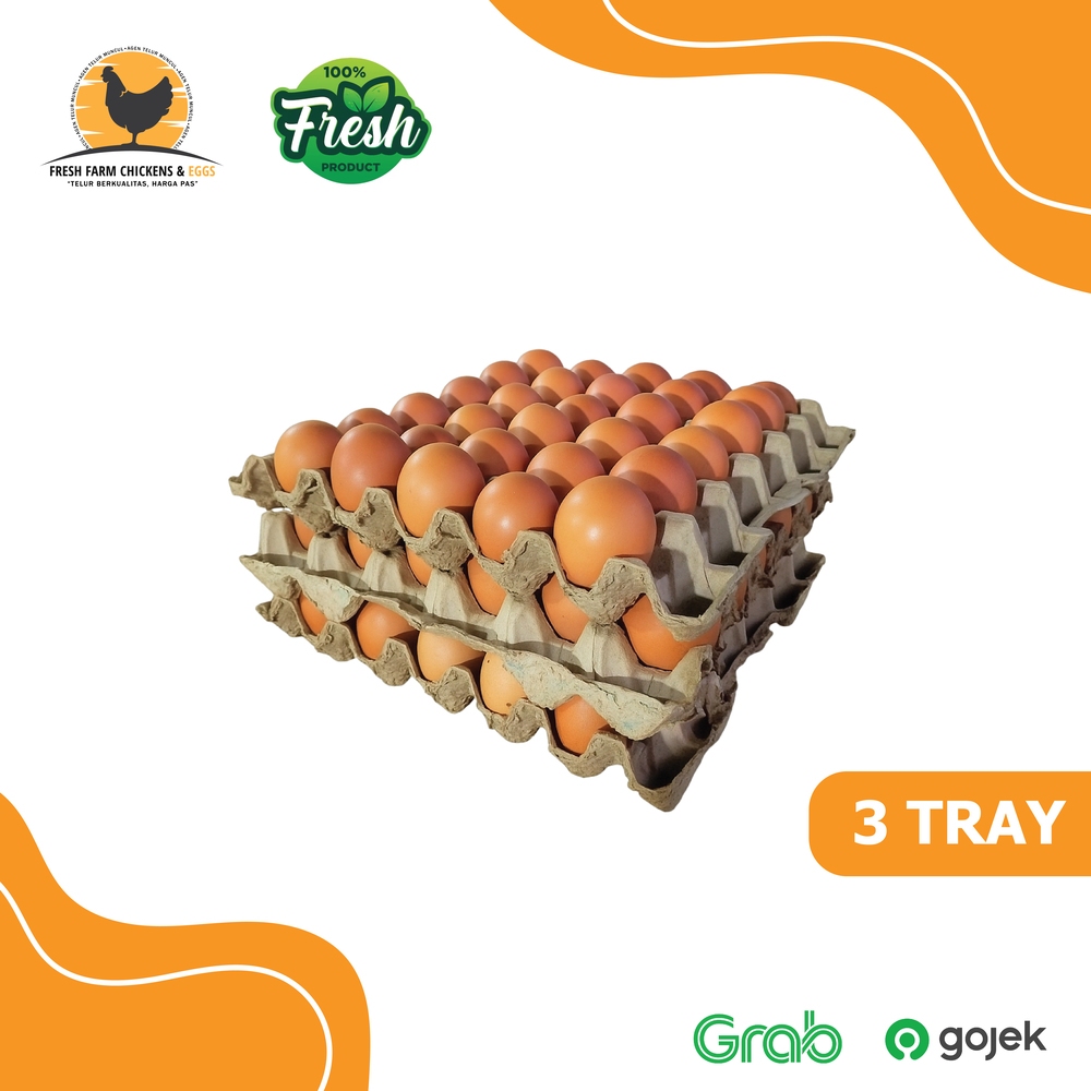 

Telur Ayam Negeri Premium Fresh Grade A - 3 Tray Isi 90 Pcs