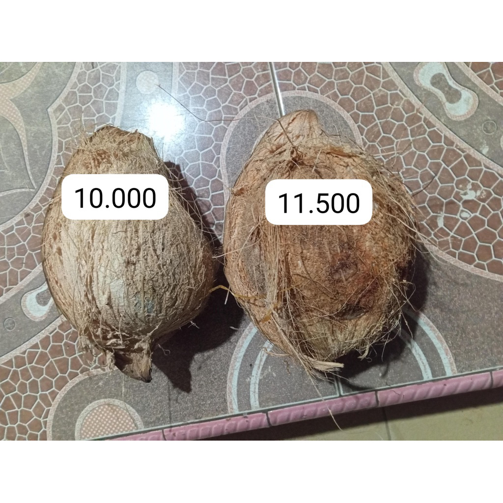 

kelapa tua untuk santan
