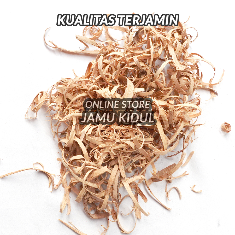 

Bidara Laut Kering 1kg Widoro Laut Asli